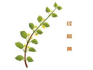 校企合作招生简章_校企合作招生协议书
