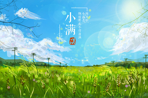 安装管理