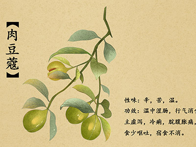 暑假培训班招生口号(暑假培训班名字大全)