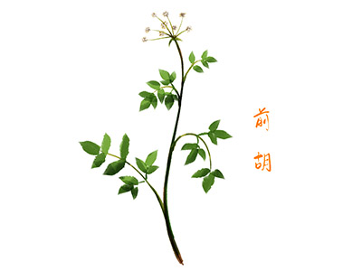 防水施工维修合同(防水维修合同通用版)